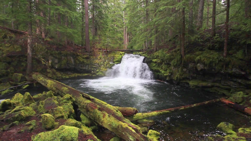 Whitehorse Falls in the Oregon Cascade mountains