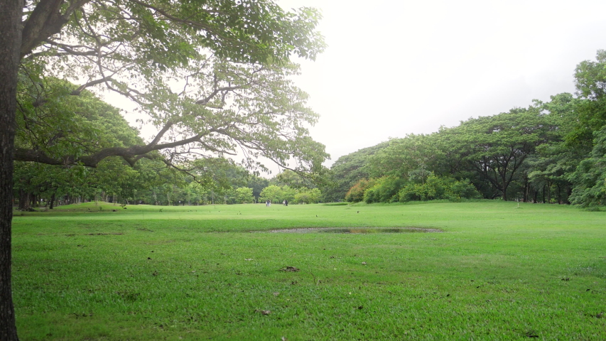 Slow motion shot of asian woman running in a summer green nature park at sunset. A girl enjoying nature outdoor