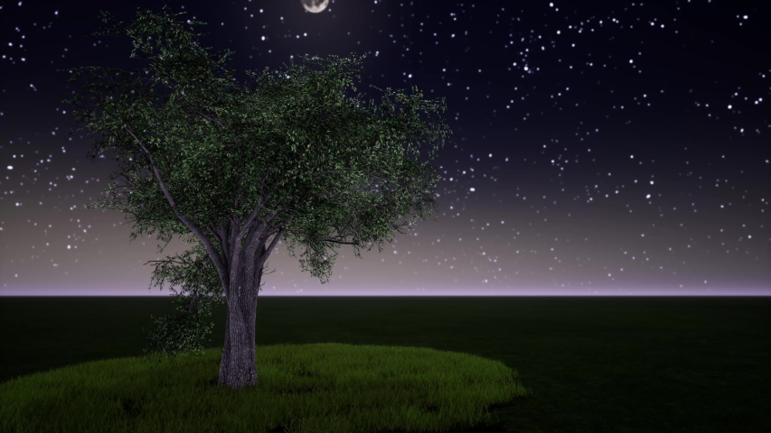 Beautiful tree in of the Moon