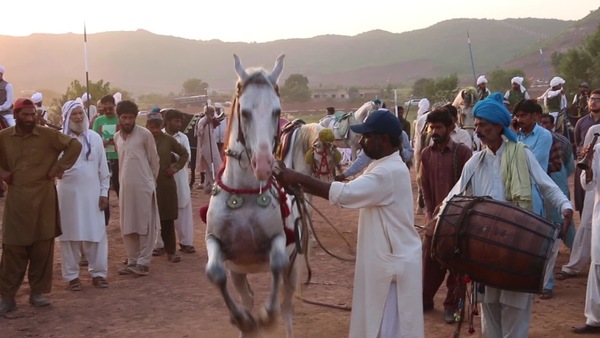 punjabi horse dance video download