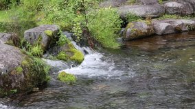 Sound of water of the mountain stream