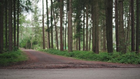 Two people racing bikes in the forrest during training for ironman competition