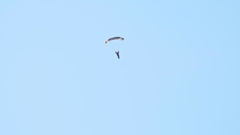 30 AUGUST 2019 MOSCOW, RUSSIA: A man flying in the sky with opened parachute and flag with ROSTEC logo - another man flying down with grey parachute