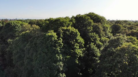 Drone video of Englischer Garten, a large public park in the centre of Munich, Germany. Summer morning, aerial view