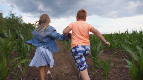 Little girl and boy holding hands of each other and having fun while running through corn field. Cute children jogging among maize plantation, turning to camera and smiling. Happy childhood. Slow mo Vídeo Stock