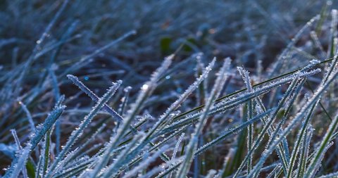 Zoom in timelapse of frost on grass melting in the morning sunlight