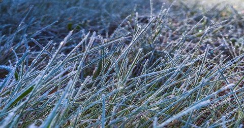 Timelapse of frost on grass melting in the morning sunlight