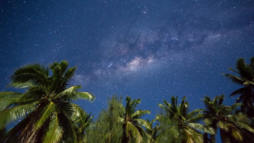 Timelapse ofmilkyway in front of palm trees on a beach on the Cook islands