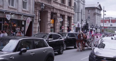 Montreal, Quebec,  /Canada- August, 31, 2019:   A horse with carriage for giving rides to tourists in the Old Montreal area.