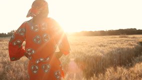 HD Video clip of African woman farmer in traditional clothes standing in a field of crops, wheat or barley, in Africa at sunset or sunrise looking at the sun