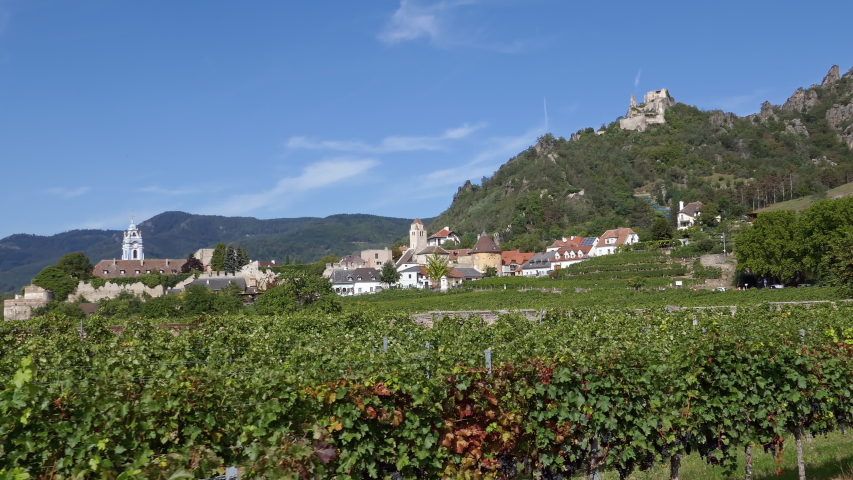 Panorama of Durnstein town and vineyards. Wachau valley, Austria