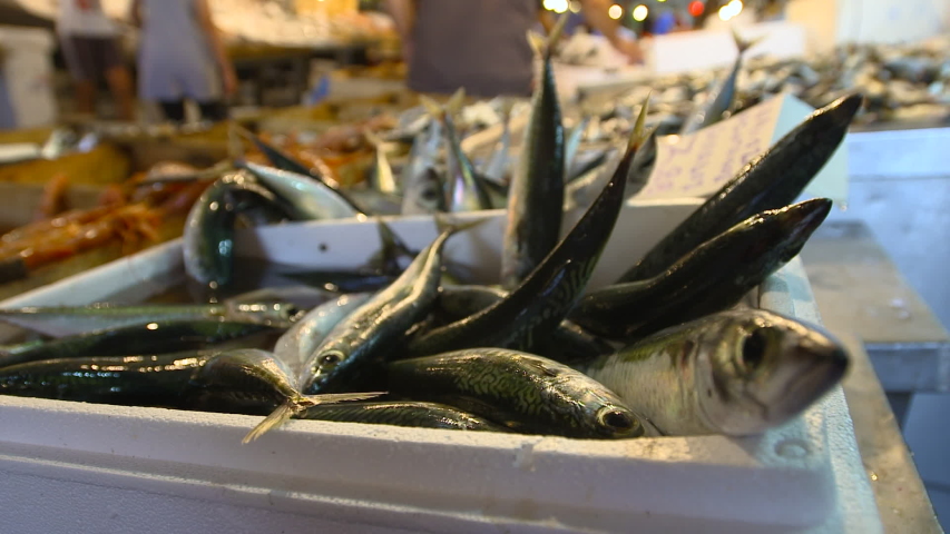 Medium close-up low angle still shot of fresh tuna fish at a street market against blurred background, Paris, France