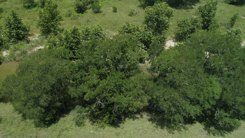 Texas Hill Country Suburban Community Flowing Creek