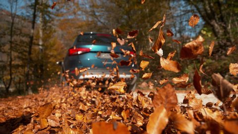 SLOW MOTION, LOW ANGLE, CLOSE UP, DOF: Large blue SUV drives along a road full of picturesque brown fallen leaves. Cinematic shot of dry leaves flying up in the air as the SUV drives through forest.