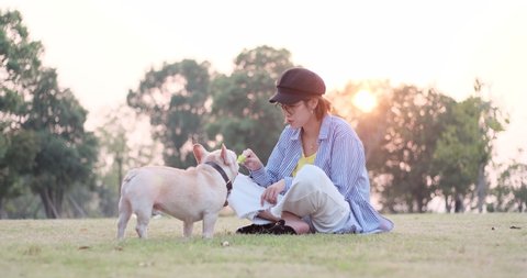 Asian Chinese girl plays with her pet French bulldog on the park lawn.