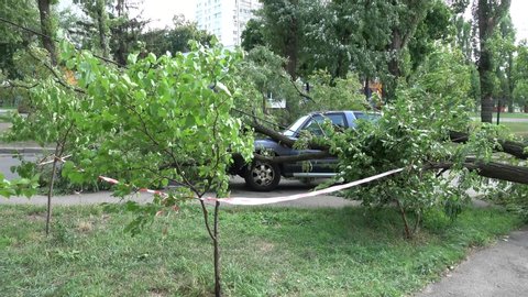 Kiev, Ukraine - 8th of August 2019: 4K Zoom out a jeep damaged under a fallen tree
