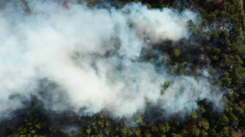 Aerial view of wildfire in forest. Burning forest and huge clouds of smoke. | Shutterstock HD Video #1037839733