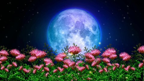 Night Garden Beautiful Moon Best Loop Stock Footage Video (100% Royalty ...