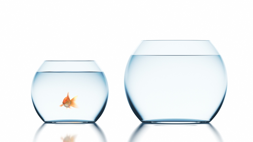 Goldfish Jumps into a Bigger Fishbowl, Beautiful 3d Animation, 4K | Shutterstock HD Video #1037851400