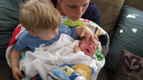 Tilt Shot Lesbian Mothers Breastfeeding Sons Stock Footage Video (100%