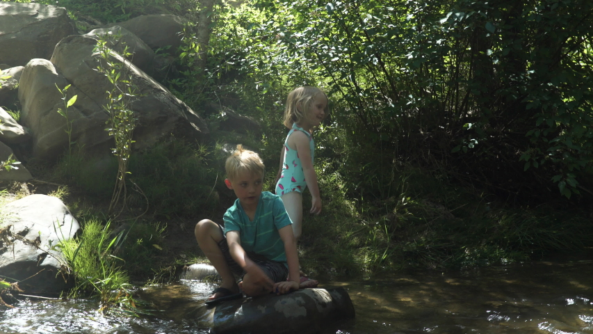 Children play on the river bank with their pet dogs.