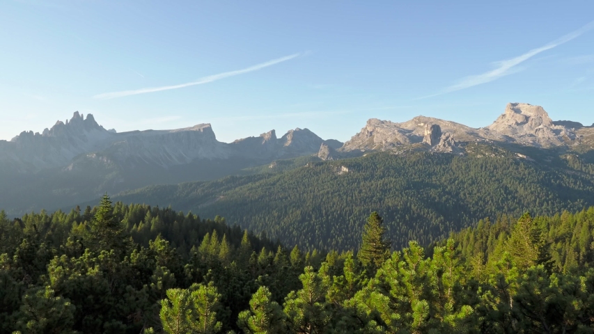 Pine and spruce forest and alpine peaks, The Tofane Group in the Dolomites, Italy, Europe