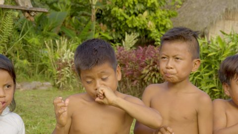 portrait shot of happy indigenous children eating sugar cane while sitting outside in their native village closeup shot camera pan in ecuador