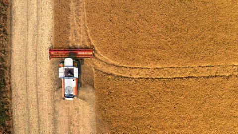 Top view of red harvester harvesting seed, aerial viewの動画素材
