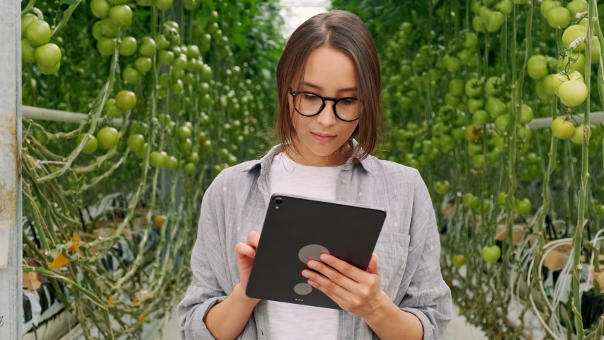 Young woman watching organic tomato plants in greenhouse, holding a digital tablet in hands. Look at camera and smile. Hothouse with Regulated Climatic Temperature Conditions for Grown Tomatos