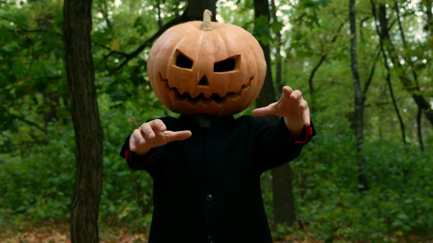 real pumpkin hat