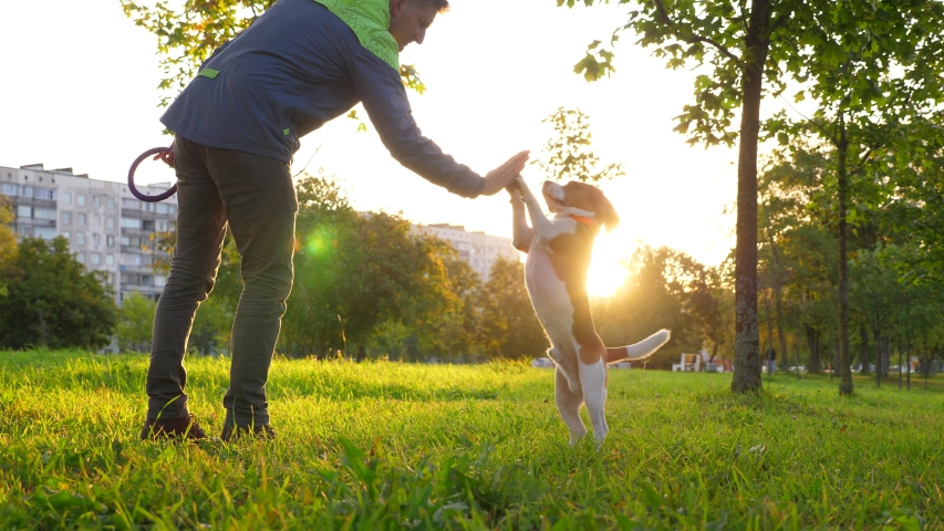 Shutterstock video thumbnail
