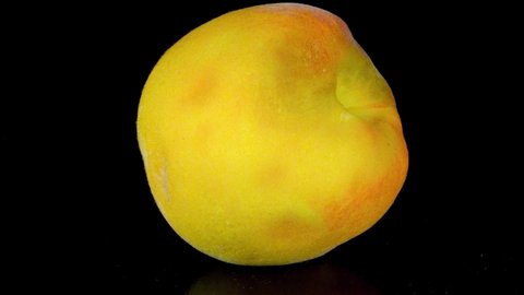 Close Up Timelapse, Yellow peach decomposes on isolated black background