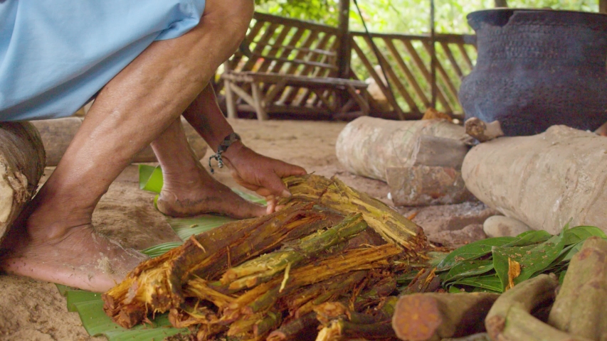 indigenous man crushing ayahuasca sticks to prepare traditional drink in the amazon rainforest slow motion detail shot in ecuador Royalty-Free Stock Footage #1037959160