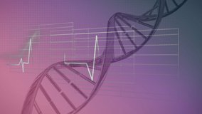 Animation of a turning 3d DNA strand with heart beat rate diagram, and rotating rings on pink to purple background - Powered by Shutterstock - Get 15% off with code: PIKWIZARD15