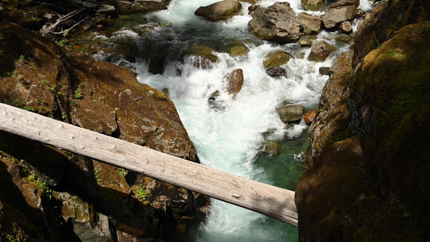 Weathered Tree Trunk Over Aqua Water in Washington wilderness
