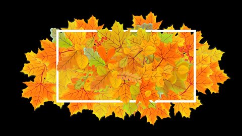 Abstract Wallpaper Background Animated Autumn Stock Footage Video 100 Royalty Free 1037965472 Shutterstock This abstract starburst wallpaper has an elegant feel. abstract wallpaper background animated