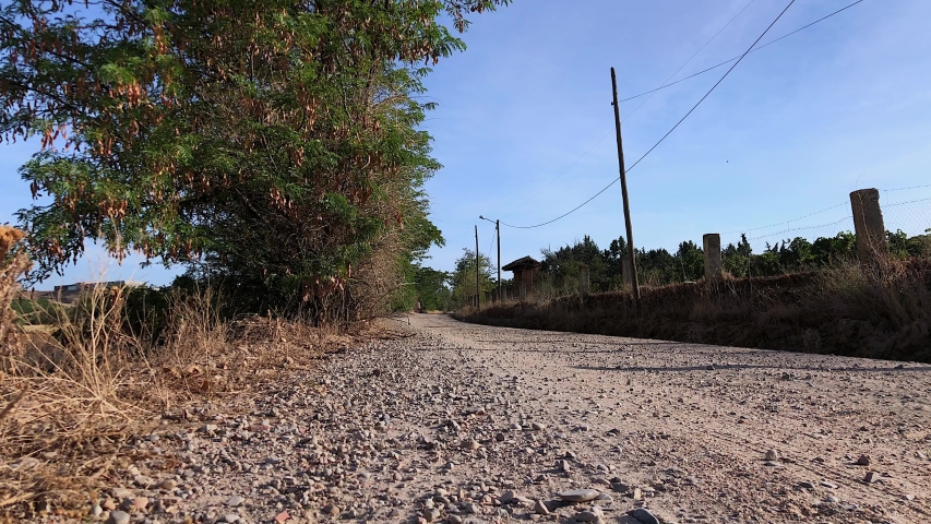 Exploring the countryside and the vineyard on a September morning