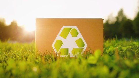 Unidentified man puts a box marked as recyclable raw materials on the grass