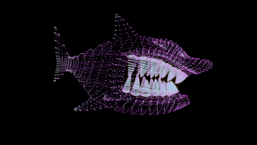 Silver Fish Vector Graphic image - Free stock photo - Public Domain ...
