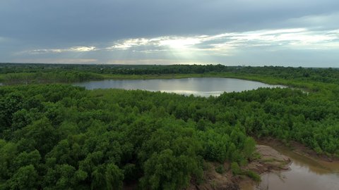 Brazos River Aerial- Texas River Forest