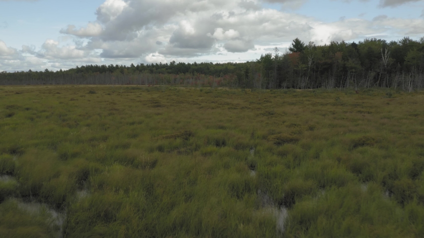 Low angle aerial over marshland 4K