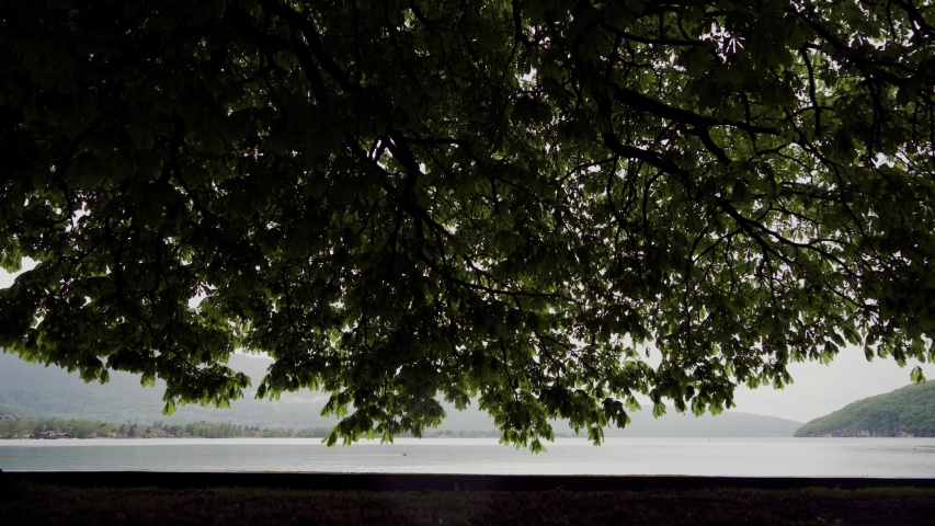 Young people having fun, walking fun like goose under a sprawling tree against the backdrop of a mountain lake