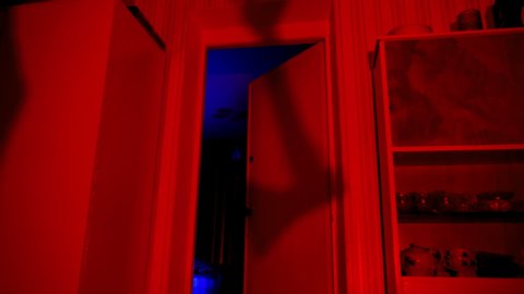 The killer holds an ax in his hands. Lockdown. Murder. Shadow of the criminal on the wall. Halloween. The room is flooded with red light. The lamp flickers a lot. Domestic violence. 