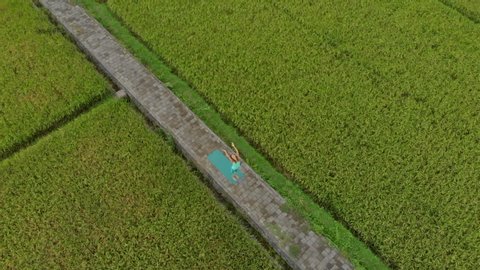 Aerial Slowmotion shot of a young woman practicing yoga on a beautiful rice field