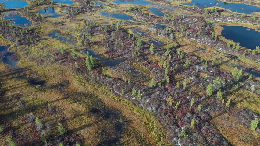 Autumn view from the height of the marshes and tundra of the North of Western Siberia