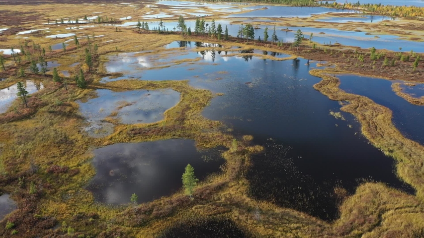 Autumn view from the height of the marshes and tundra of the North of Western Siberia