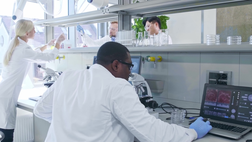 Scientist and students working in lab. Doctor teaching interns to make analyzing research. Laboratory tools: microscope, test tubes, equipment. Biotechnology, chemistry, bacteriology, virology. Royalty-Free Stock Footage #1038086969