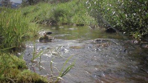 The stream in the valley Lambeau,Polar Ural