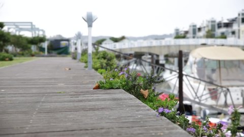 Walking along the docks of Thesen Island in Knysna passing flowers and boats