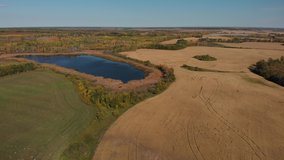Drone moving slowly over a vast farm landscape with a large wheat field, meadows and forest.  A small lake occurs in the video.
